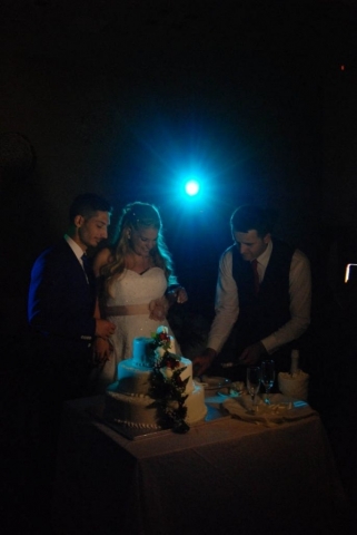 cutting the cake with style